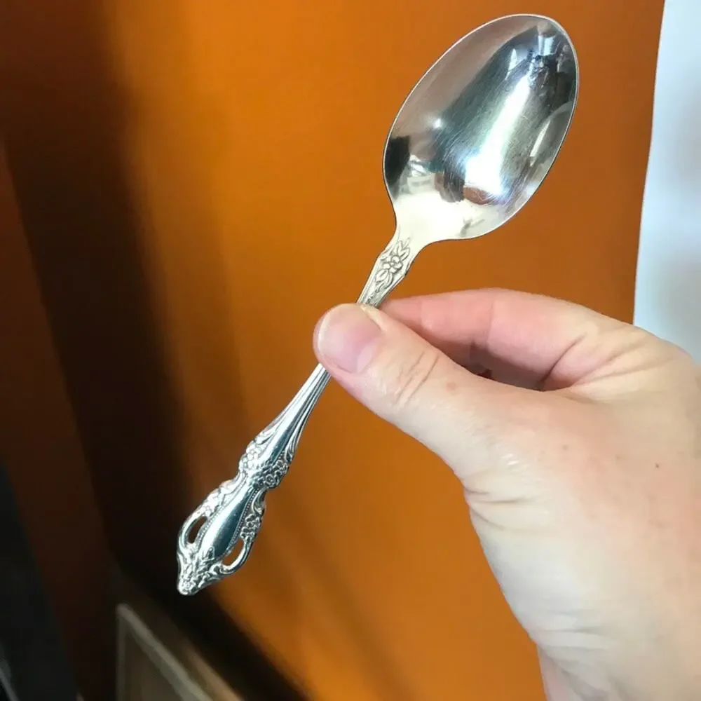 Oneida RAPHAEL stainless glossy flatware - set of 4 oval place spoons